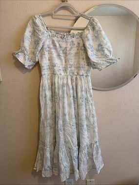 Light Blue Toile Puff-Sleeve Midi Dress Ivy City Co. 100% Cotton.